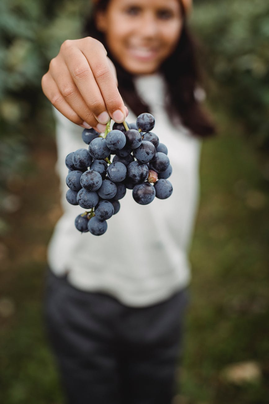 crop ethnic teen showing bundle of tasty grapes in vineyard
