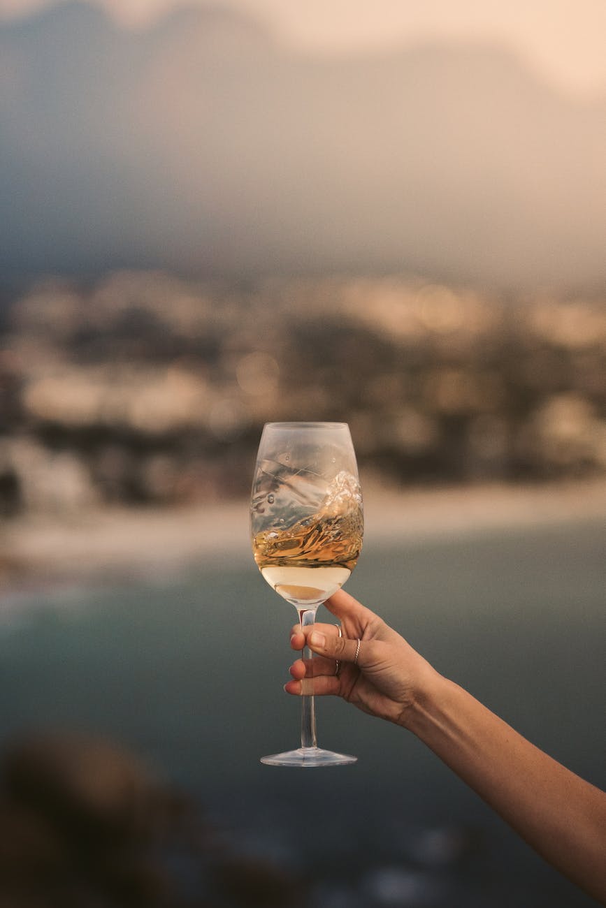 person holding glass of white wine